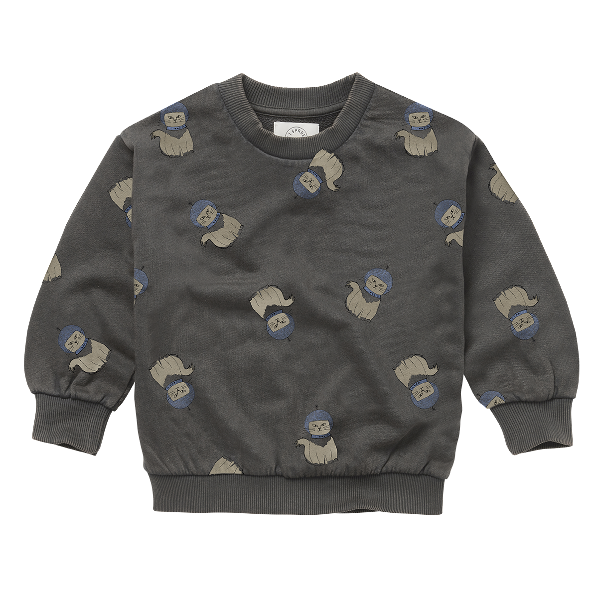 Sweater cats