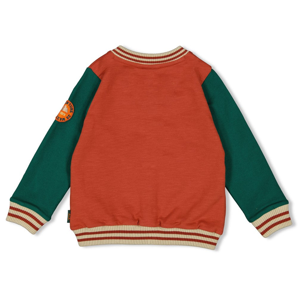 Sweater jasje