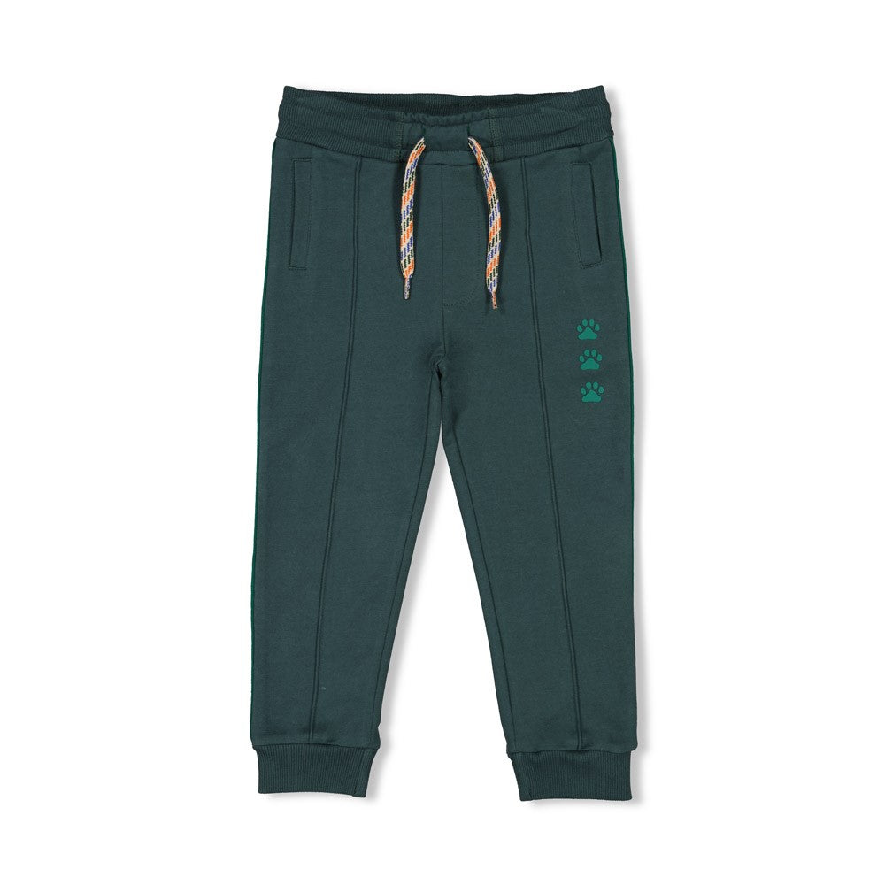 Broek dog paws