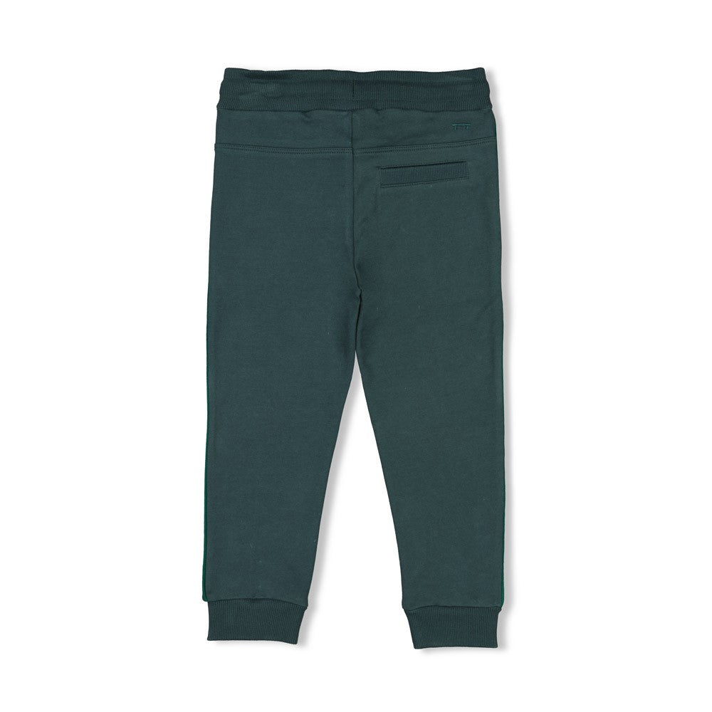 Broek dog paws