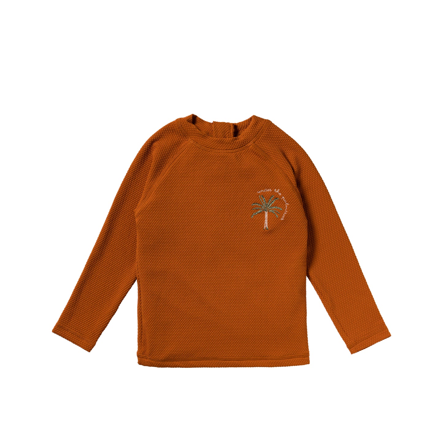 Solid Swim Longsleeve Bombay Brown
