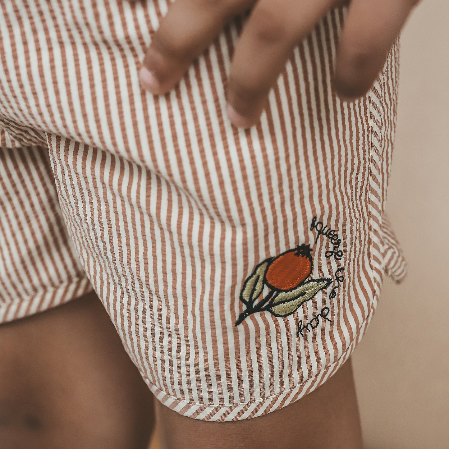 Seersucker Swim Shorts bombay brown