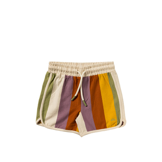 Multicolor Shorts