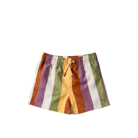 Multi Stripe Swim shorts