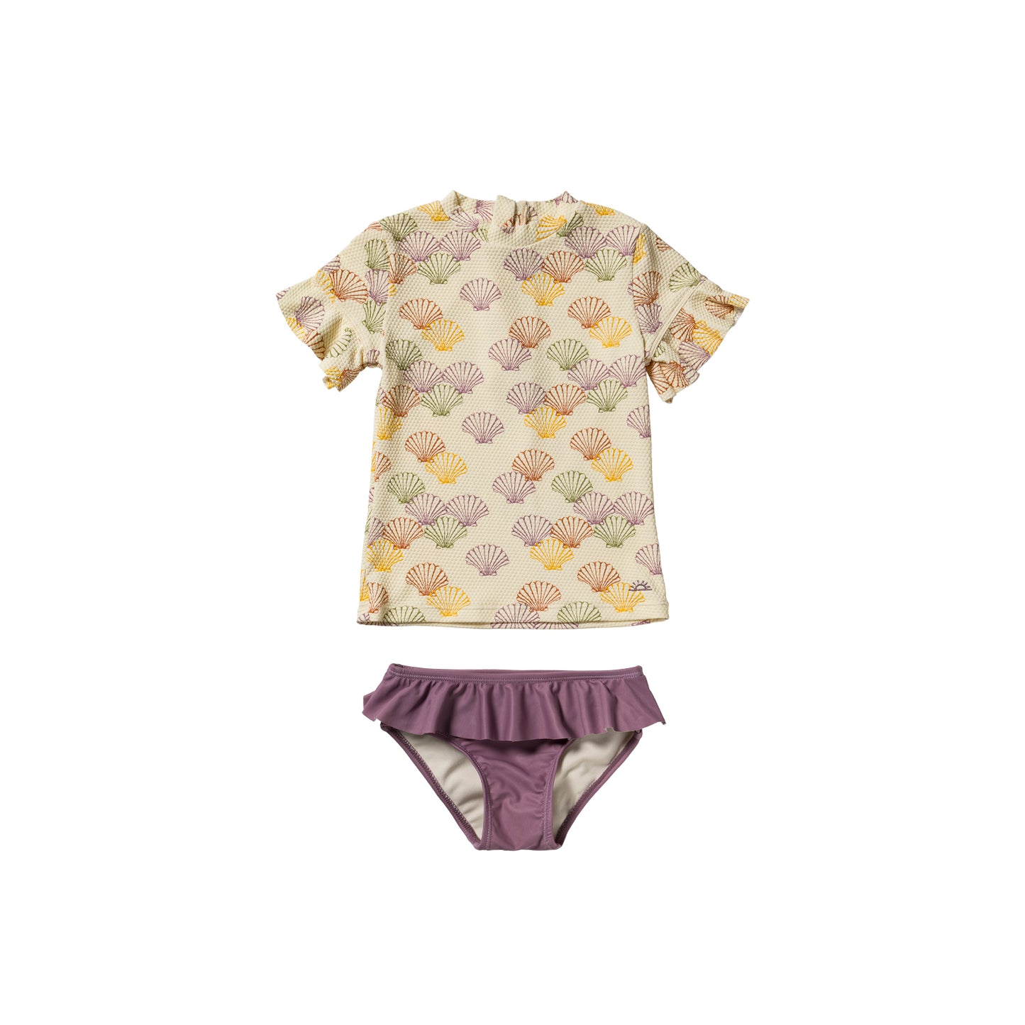 Shells Set multicolor
