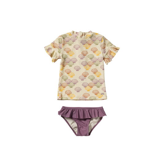 Shells Set multicolor