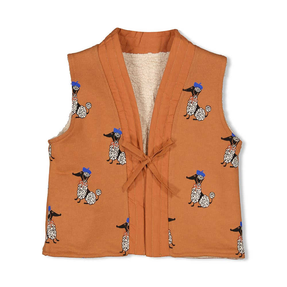 Omkeerbaar Gilet Teddy