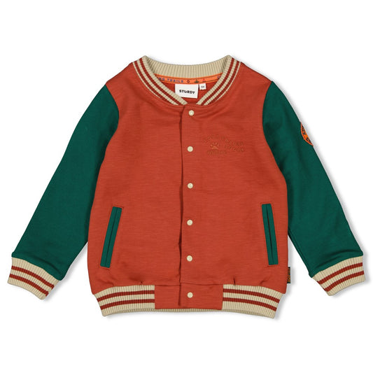 Sweater jasje