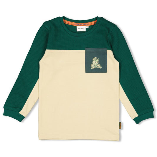 T-shirt campfire