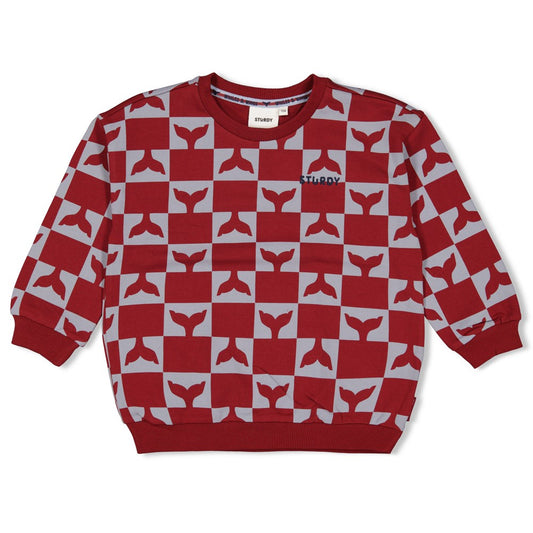 Sweater whales