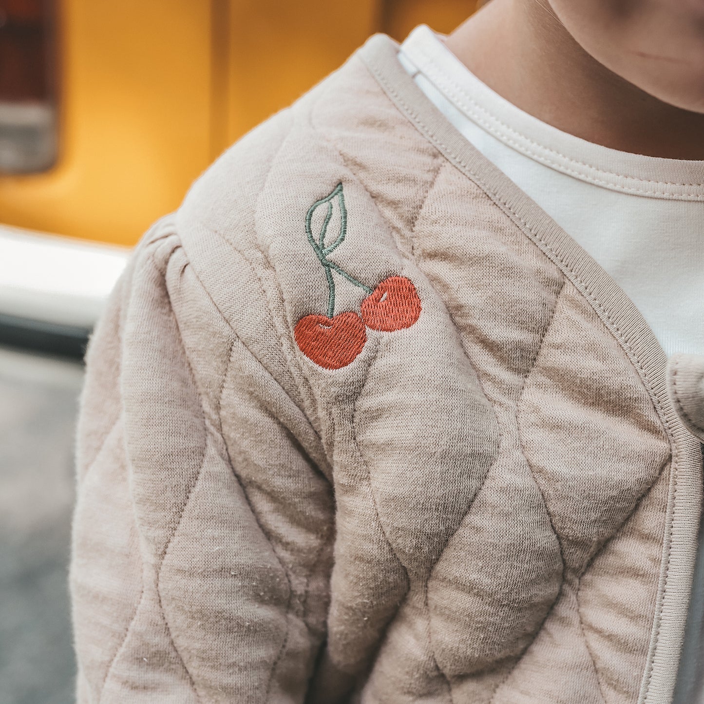 Quilted Jersey embroidery dune